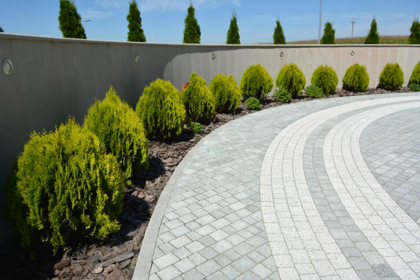 Best Professional Driveway Pavers  in Whitley City, KY